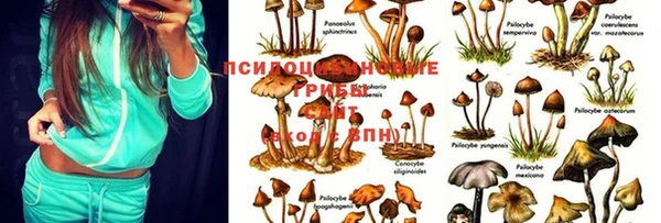 мдпв Зерноград